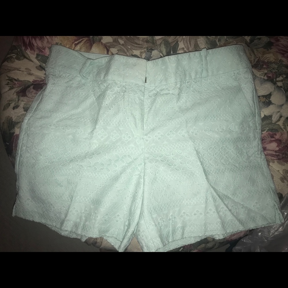 LOFT Shorts